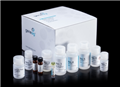 磁珠法DNA/RNA抽提试剂盒（genesig Easy DNA/RNA Extraction Kit）